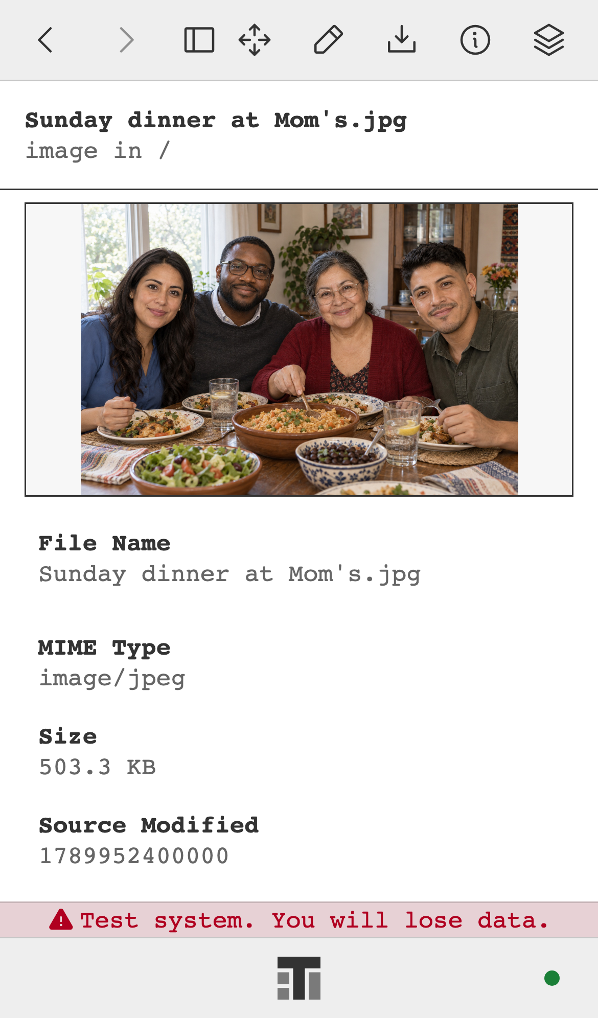 A family photo, Sunday dinner at Mom's, opened on a phone with its file details.