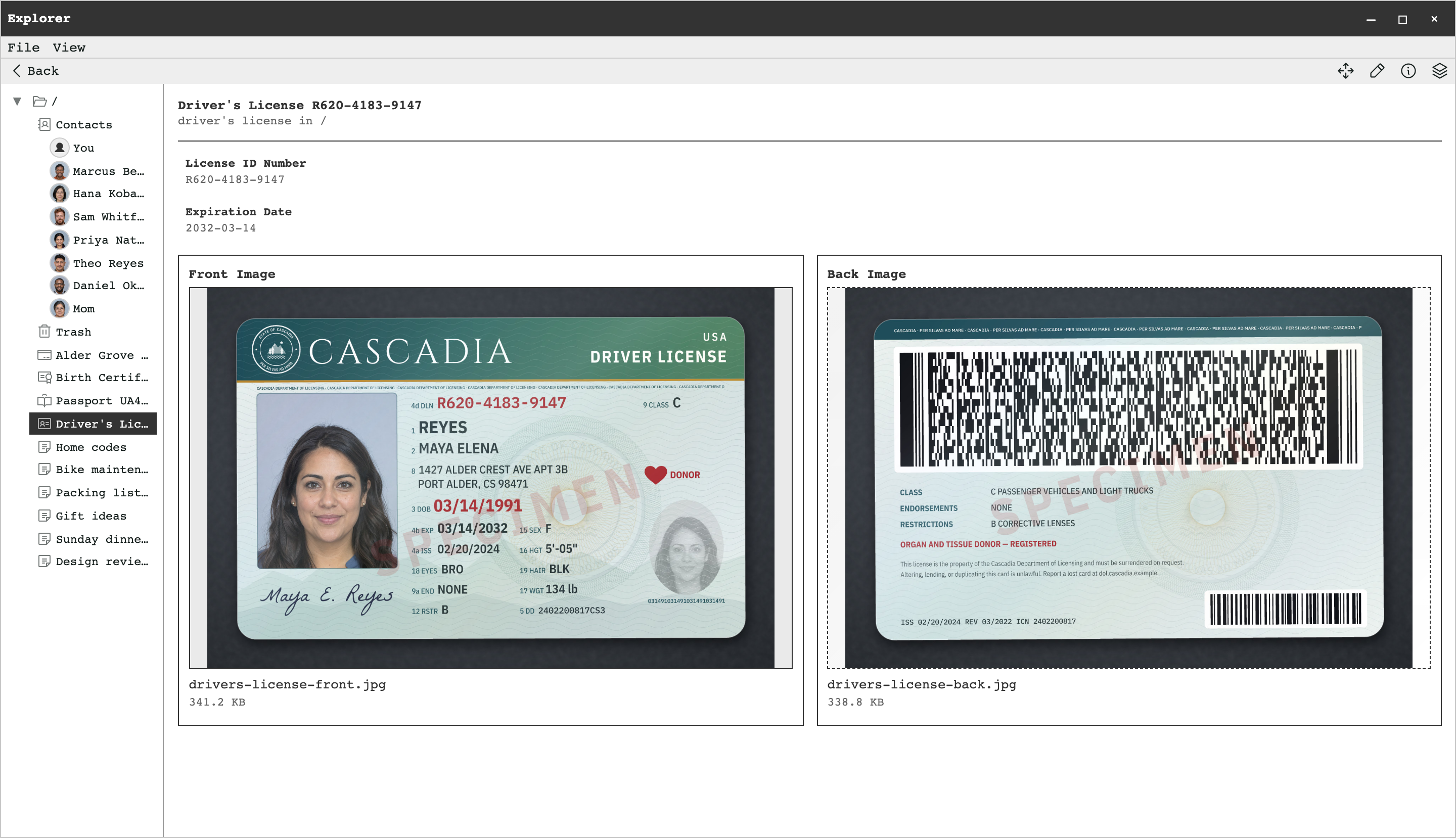 A driver's license record in Explorer with its license number, expiration date, and front and back images of a specimen card.