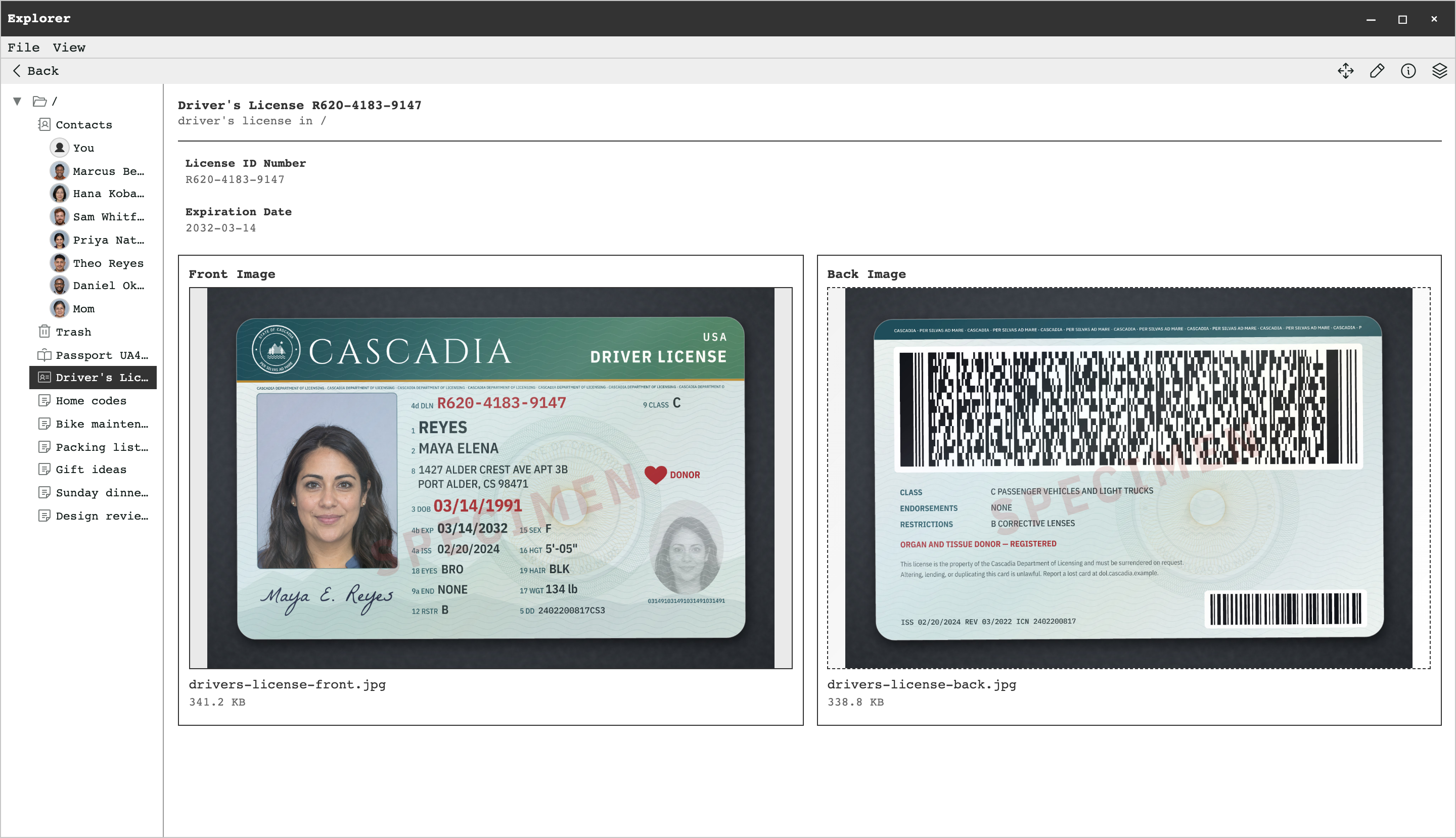 A driver's license record in Explorer with its license number, expiration date, and front and back images of a specimen card.