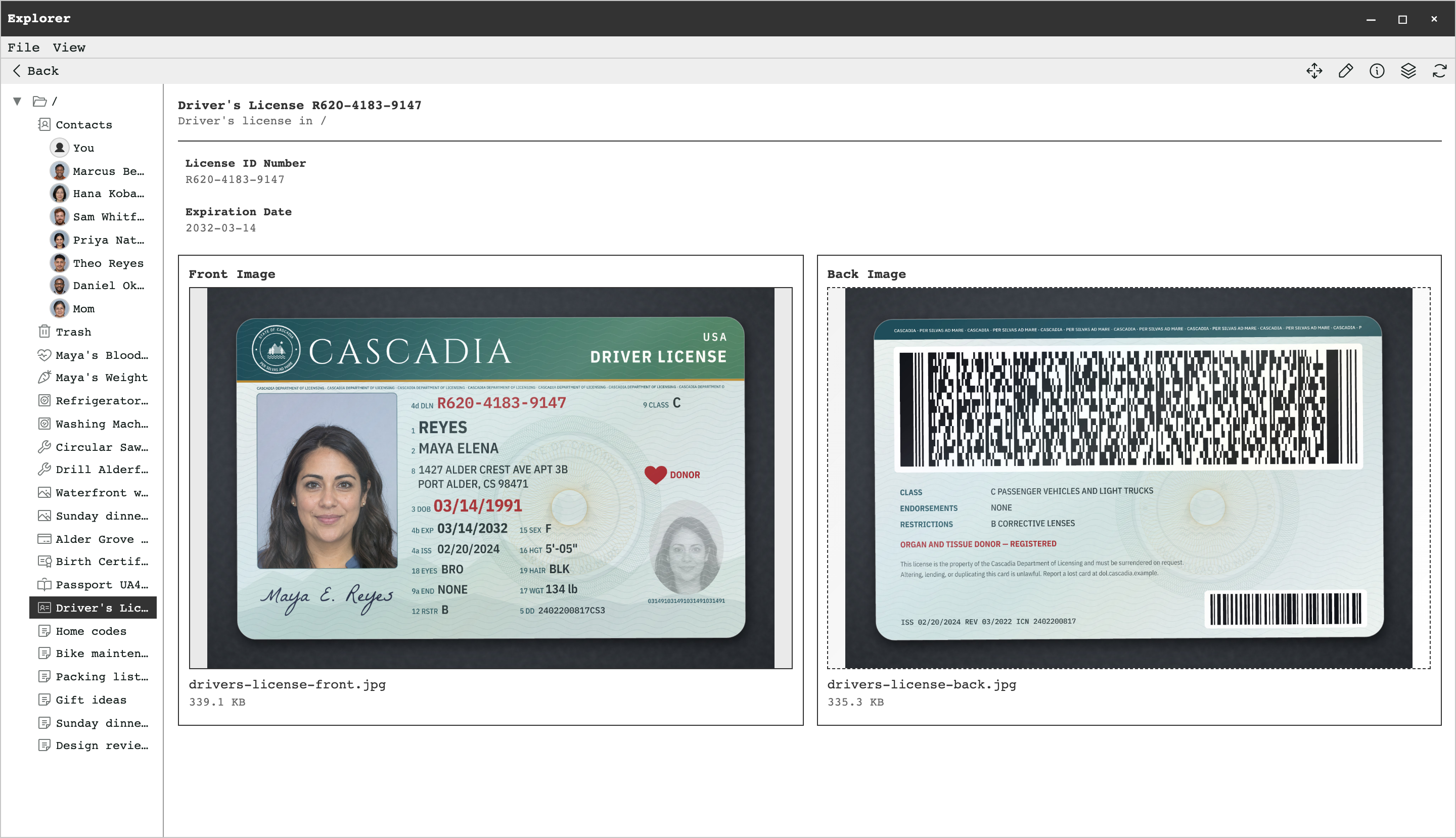A driver's license record in Explorer with its license number, expiration date, and front and back images of a specimen card.